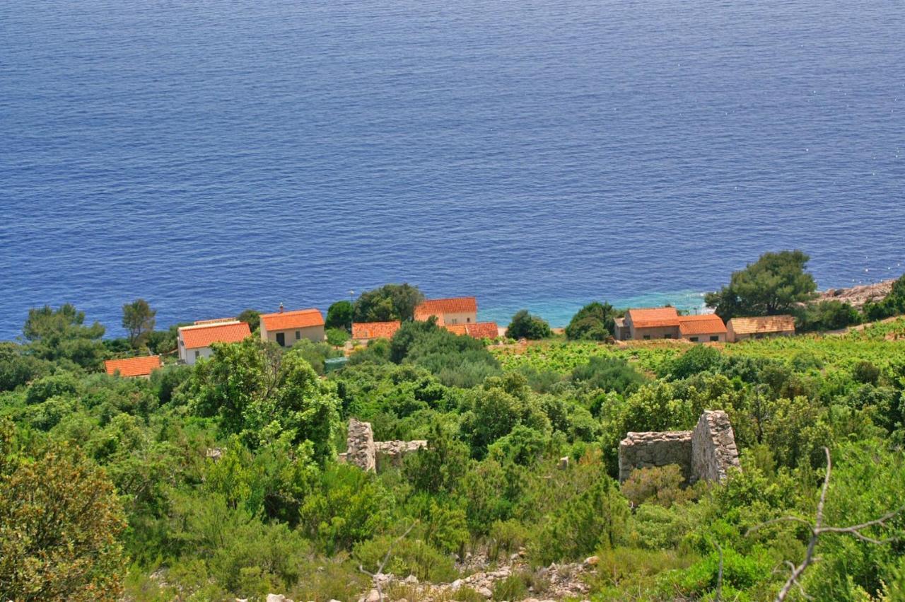 Apartments By The Sea Dingac - Potocine, Peljesac - 4533 Potomje Exteriör bild